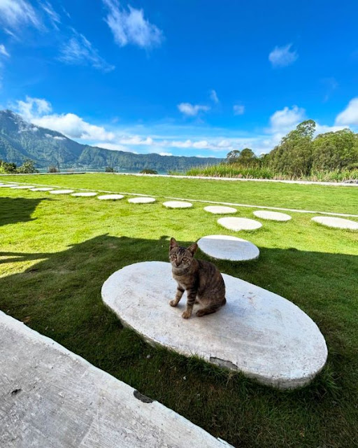 colina glamping review